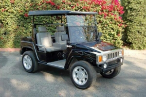 affordable golf cart rental, golf cart rent peachtree city golf cart rental