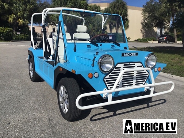affordable golf cart rental, golf cart rent peachtree city golf cart rental