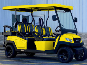 peachtree city golf cart rental, golf cart rentals